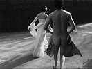 Sábado – das Hochzeitstape